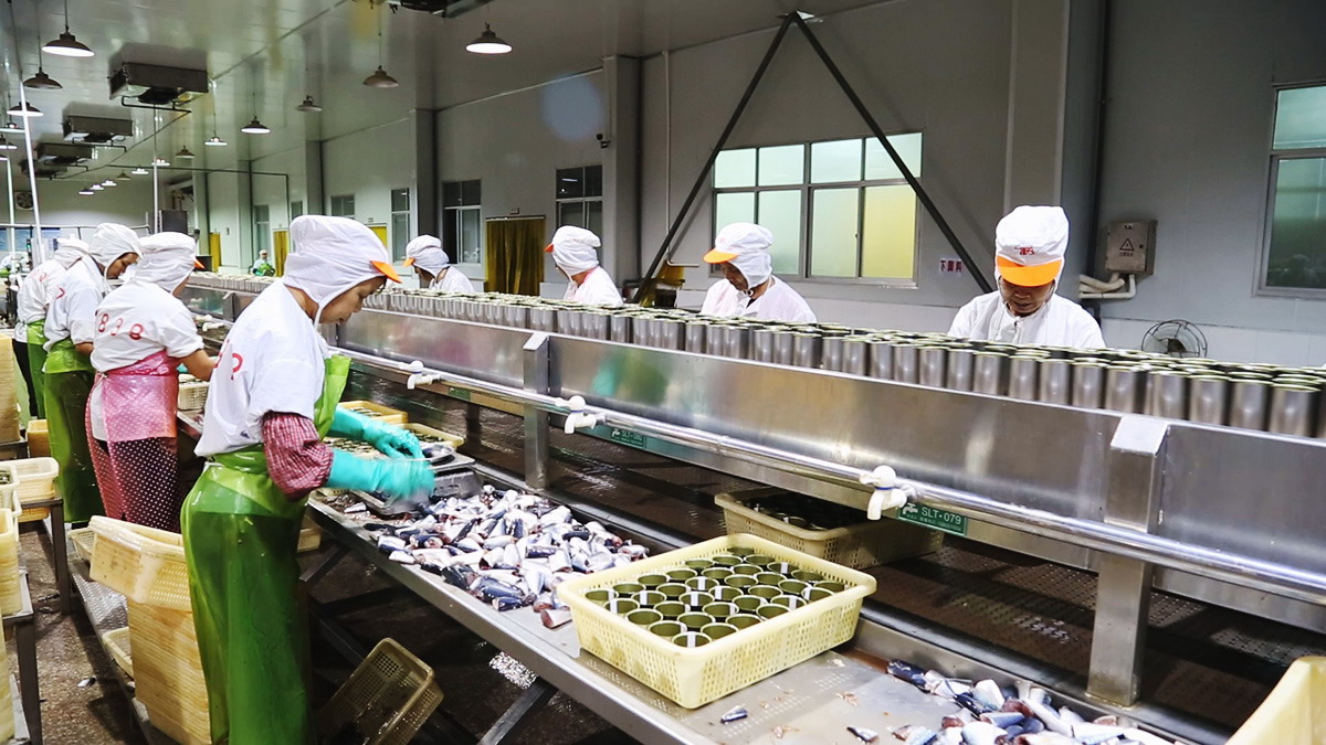 J9集团直营·(中国)官方网站