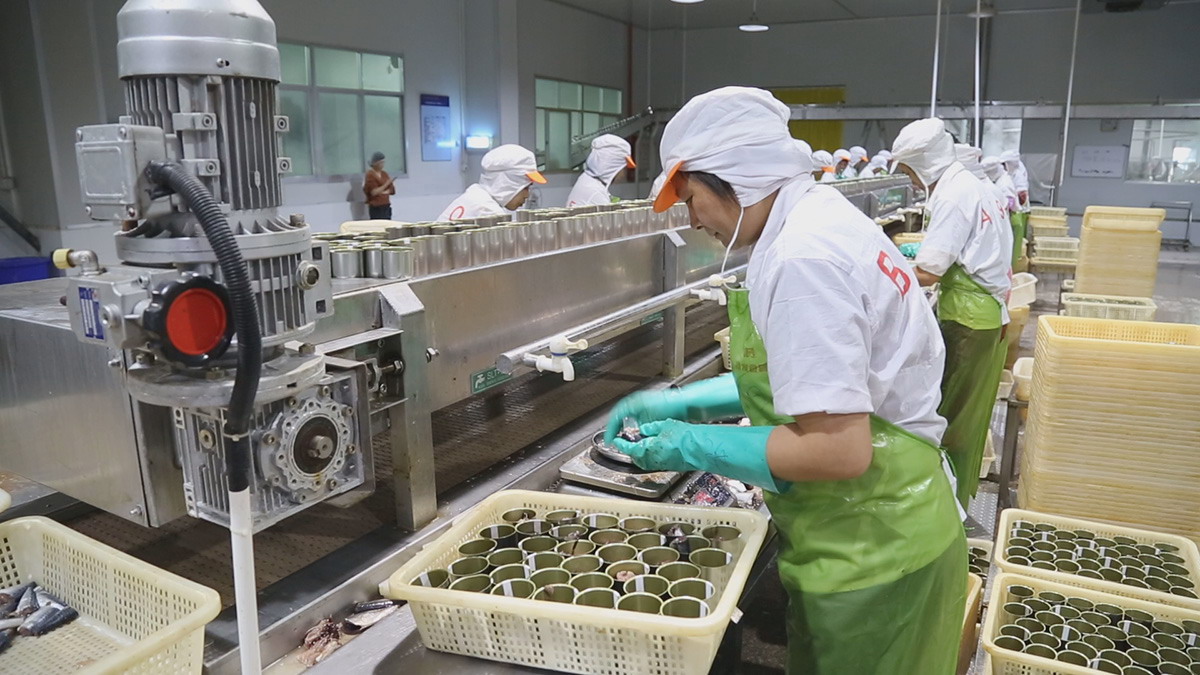 J9集团直营·(中国)官方网站