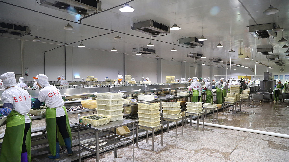 J9集团直营·(中国)官方网站