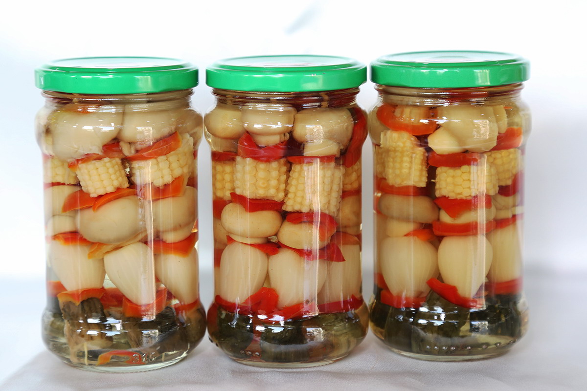 J9集团直营·(中国)官方网站