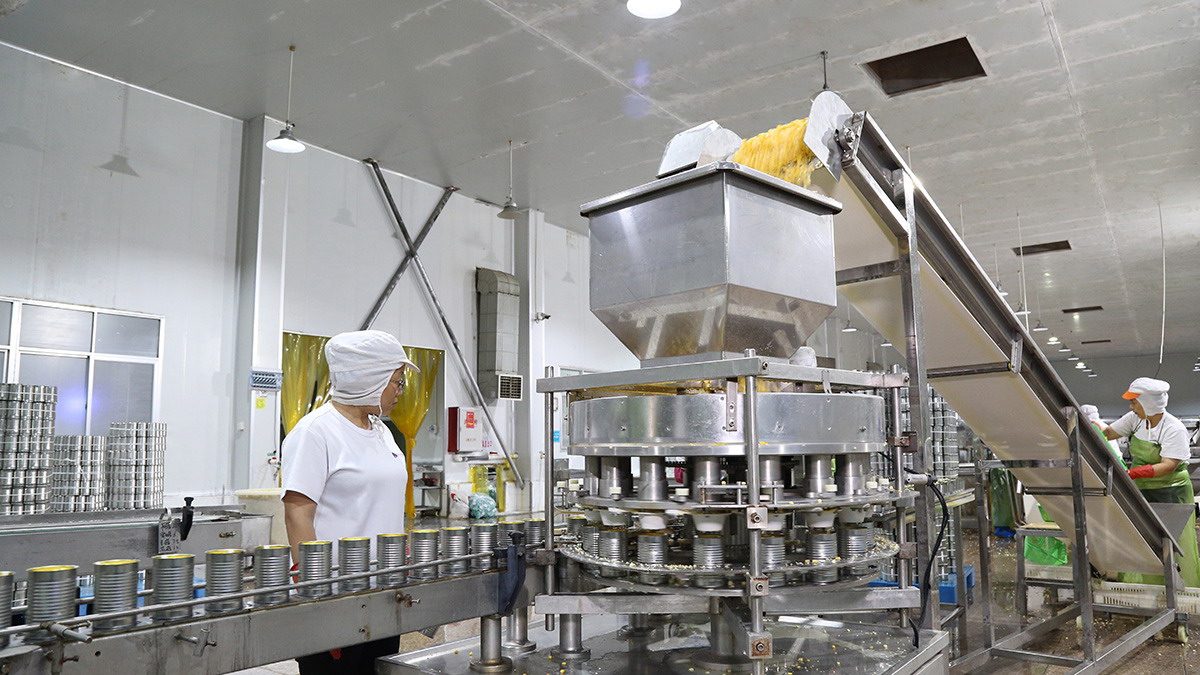 J9集团直营·(中国)官方网站